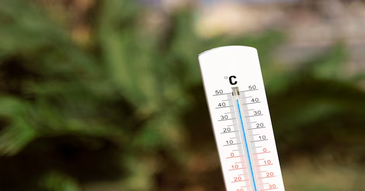 95°F to °C: Your Complete Temperature Conversion Guide